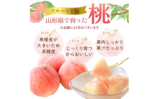 ≪先行受付≫ froSchがお届けするおまかせ白桃 約3kg 【2026年7月下旬より順次発送予定】