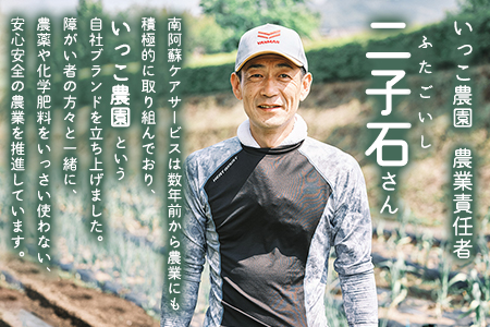 阿蘇ブロンドエール 330ml×3本セット 熊本県南阿蘇村《90日以内に出荷予定(土日祝除く)》株式会社南阿蘇ケアサービス ビール