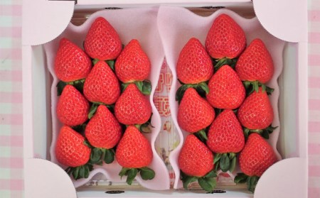 いちごハウスAYAのあまりん　250g×2パック No.376