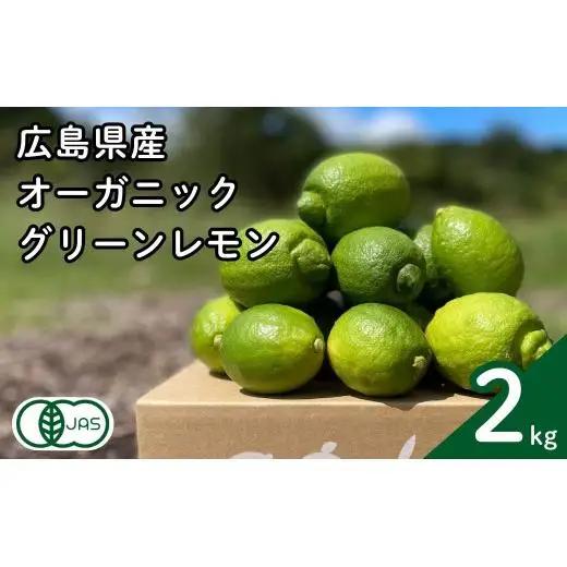 グリーンレモン 約2kg 【2026年 10月 ～ 11月 発送】 先行予約