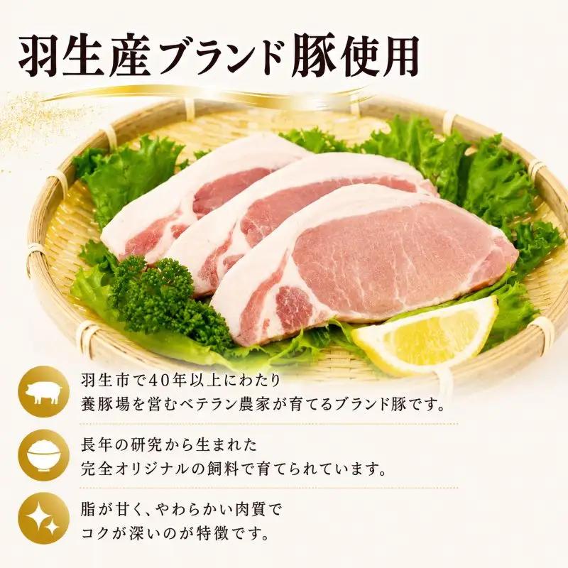 豚ロース ステーキ 1.2kg ( 100g × 3枚 ) ×4P 国産 豚ロース 冷凍