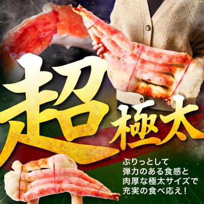 ふるさと納税 泉南市 ●★【極太メガサイズ】ボイルたらば蟹肩 10L以上(約4.4kg以上(2.2kgx2肩)) |  | 01