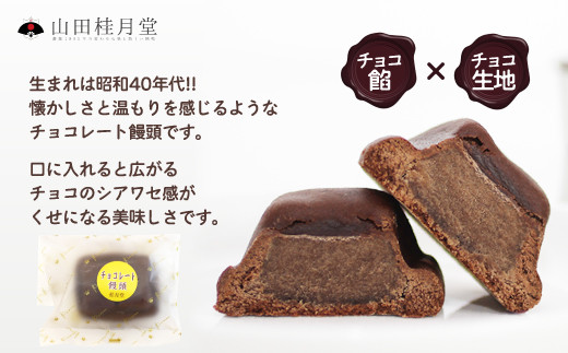 ＜山田桂月堂＞チョコレート饅頭　10個入り　40P5614