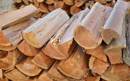 沼田町産 乾燥カラマツ薪 長さ約30cm 10kg 白樺樹皮付き キャンプ アウトドア用品 n-0088