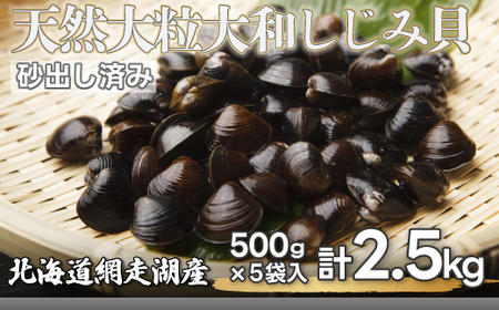 【先行予約】網走湖産 天然大粒 大和しじみ 2.5kg ※着日指定不可（2026年5月20日以降発送予定） 【 ふるさと納税 人気 おすすめ ランキング しじみ シジミ 蜆 大和しじみ 貝 魚貝類 網走湖産 砂抜き済 冷凍 味噌汁 大粒 天然 北海道 網走市 送料無料 】 ABX033