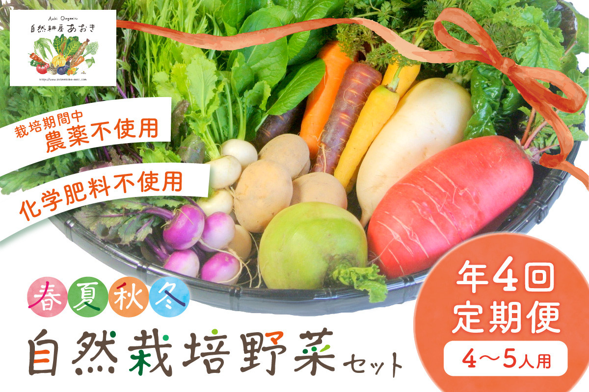 
【年4回定期便】春夏秋冬自然栽培野菜セット(年4回)4～5人用　野菜 自然栽培 季節 定期便 旬野菜　AB00002
