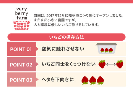 ★先行予約★【期間限定】いちご 2品種 食べ比べセット 苺 イチゴ あきひめ 紅ほっぺ おいCベリー かおり野 フルーツ ビタミン 愛知県 知多市