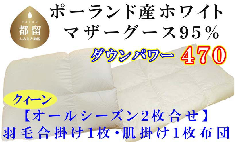 
            羽毛合い掛け・ 肌布団2枚組ポーランド産マザーグース９５％ 合掛け クィーン220×210cm dp470
          