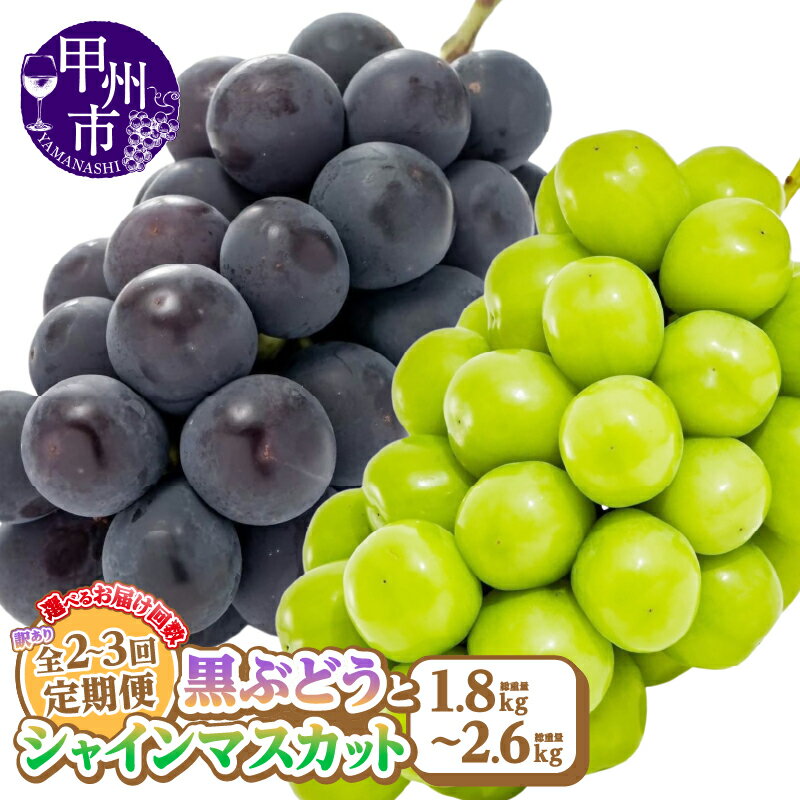【ふるさと納税】 訳あり フルーツ 定期便 選べる 2回 3回 黒ぶどう 800g以上 シャインマスカット 1kg以上 果物 期間限定 2025年発送 8月 9月 発送 冷蔵 クール ぶどう 葡萄 巨峰 ピオーネ くだもの 山梨県 甲州市 産地直送 社員マスカット （AGB）