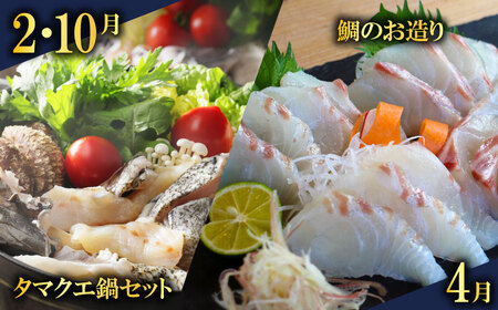 定期便 全6回 愛南の魚料理 クエ鍋セット タマクエ 鯛 タイ お造り 刺身 さしみ シマアジ フィーレ フィレ 鯛めし 丼 醤油 漬け カツ フライ ハラミ 唐揚げ カマ 焼き グリル 海鮮 魚介 