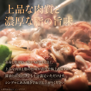 【数量限定】勝見牧場　プレミアム守山近江牛あみ焼き用ロース・モモ600g