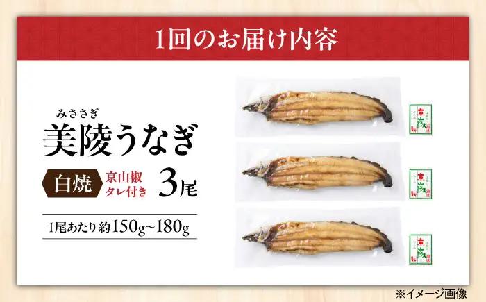 【全6回定期便】鰻 鰻の白焼 3尾/美陵鰻 鰻 うなぎ ウナギ 蒲焼 蒲焼き かば焼き かばやき 白焼き 白焼 しろやき しらやき 特大 肉厚 うな重 うな丼 ひつまぶし 惣菜 おかず タレ 山椒 国