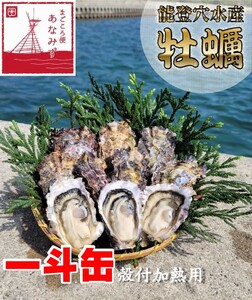 鮮度抜群！獲れたてをお届け！ 穴水の能登牡蠣（殻付）加熱用一斗缶