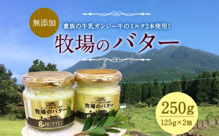 【ガンジー牧場】 牧場の バター 125g×2個 計250g ガンジー牛乳使用 無添加 ゴールデンミルク