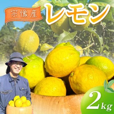 ふるさと納税 宗像市 【11月〜5月順次発送】宗像産レモン2kg【道の駅むなかた】_HA1817