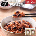 【ふるさと納税】洗わずそのまま GABA 発芽酵素 玄米炊飯 セット 3合 (450g) ×2セット 機能性表示食品 玄米 酵素玄米 うるち米 GABA 熟成 残留農薬ゼロ 国産 大分県 九重町 送料無料