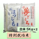 【ふるさと納税】特別栽培米★白米10kg 【夢ごこち・ハツシモ】各5Kg　 お米 ブランド米 銘柄米 ご飯 モッチリ 冷めても美味しい 大粒 アッサリ 　お届け：2024年11月上旬～2025年10月下旬