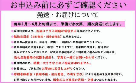 いちご とちおとめ 約400g いちご 【2027年1月~4月発送分】