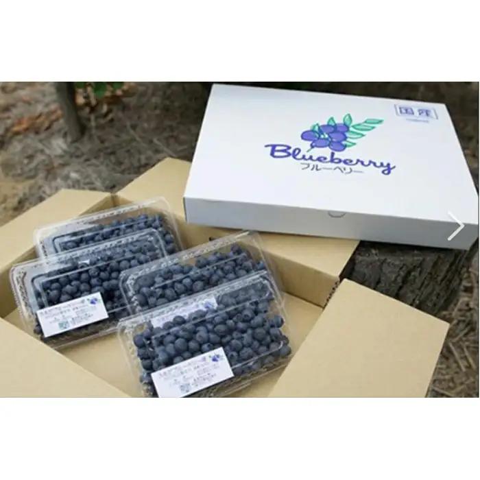 茨城県産　坂東市（生）完熟ブルーベリー1kg（125g×8P） No.538