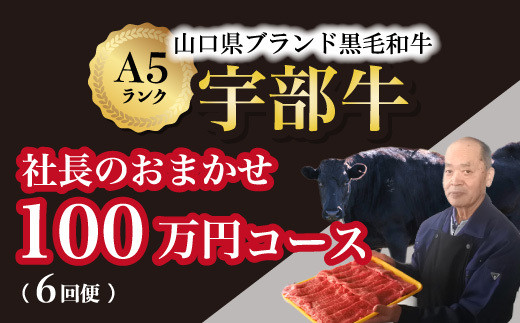 
【山口宇部牛】社長おまかせプレミアム定期便【６回便】＜１００万円コース＞黒毛和牛Ａ５ランク宇部牛
