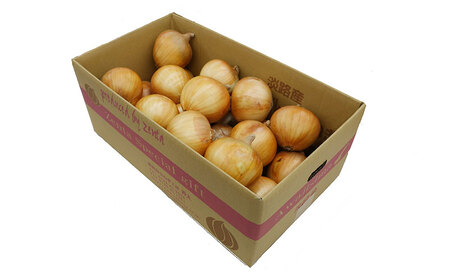 【サイズ色々】淡路島産玉ねぎ7kg 兵庫県 洲本市 淡路島