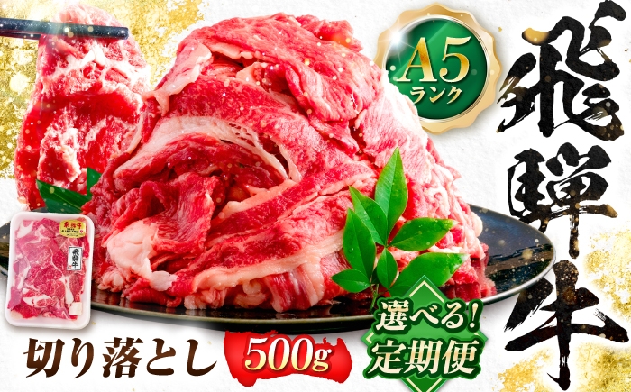 
                  【選べる定期便】飛騨牛 A5等級 切り落とし 500g 牛肉 肉 お肉 カレー 炒め物 岐阜市 / 肉の松久 [ANIP021]
                