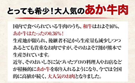 【6ヶ月定期便】【希少和牛】ハンバーグ 熊本県産 あか牛ハンバーグ 150g × 10個 南阿蘇食品 《お申込み月の翌月より発送開始》 定期 計6回お届け 熊本県 南阿蘇村 送料無料 牛肉 あか牛 肉