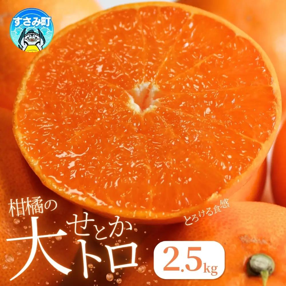 とろける食感！せとか 約2.5kg 【予約】【uot789B】