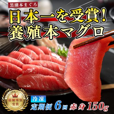 ふるさと納税 大月町 まぐろ マグロ 本鮪 黒潮本まぐろ 赤身 定期便 6回 150g × 6回 刺身 柵 冷凍 産地直送