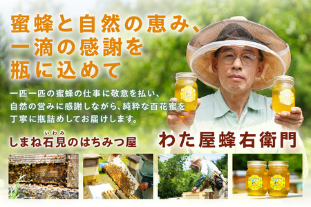 水のきれいな浜田市金城町産「いわみの里山 純粋はちみつ」500g×2本【184_1906】