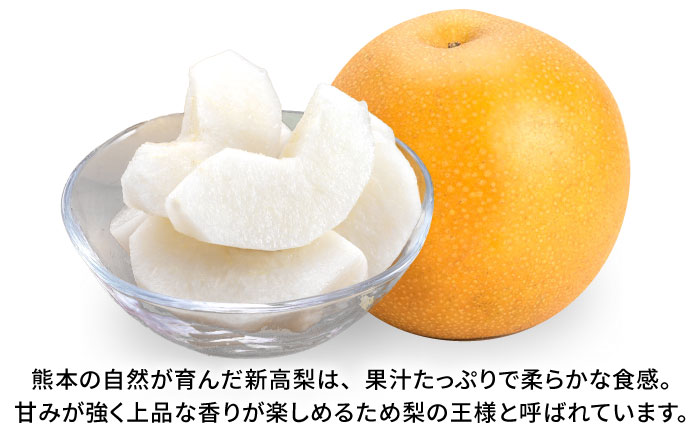 【先行予約】【数量限定】新高梨　約5kg 【日本フルーツ株式会社】 [ZFJ017]