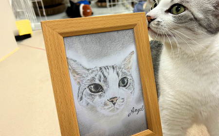 【うちの子似顔絵オーダーメイド】似顔絵の原画　85P7802