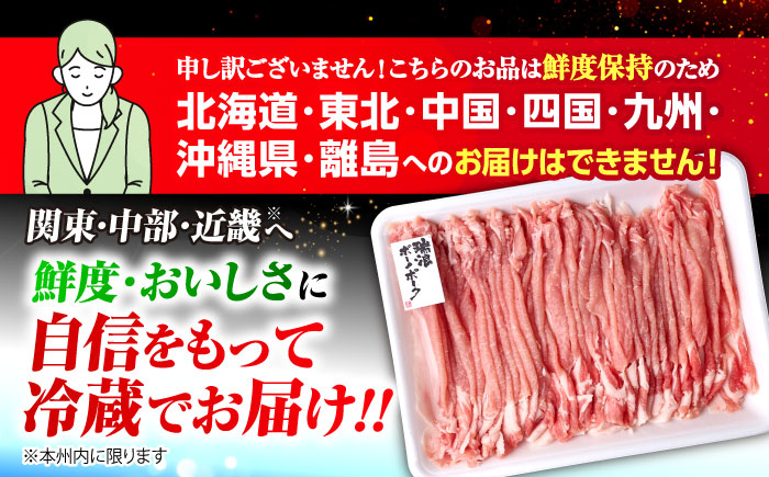 【3回定期便】 ※冷蔵配送/地域限定※ 岐阜県産 豚 瑞浪ボーノポーク しゃぶしゃぶ 1kg まんぷくセット 瑞浪市 / きなぁた瑞浪 [AZCI053]