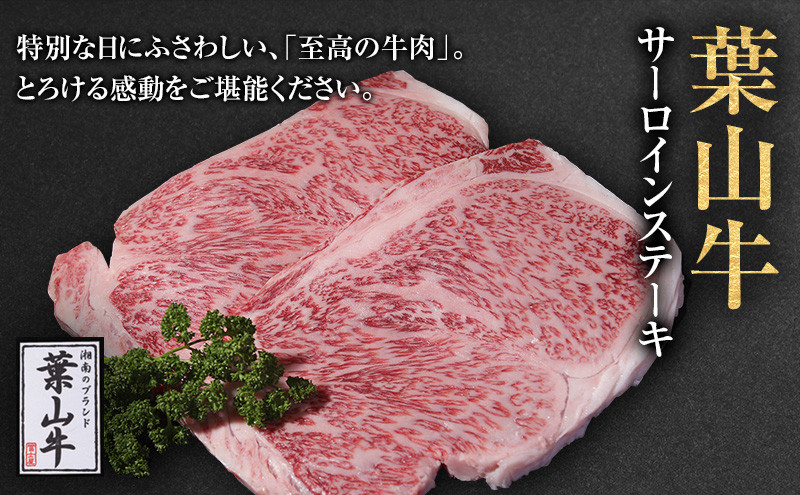 
ステーキ 冨士屋牛肉店がお届けする 葉山牛 サーロインステーキ 約250g × 2枚 和牛 サーロイン 牛肉 発送可能時期より順次発送予定※最大2ヶ月 [№5875-0516]
