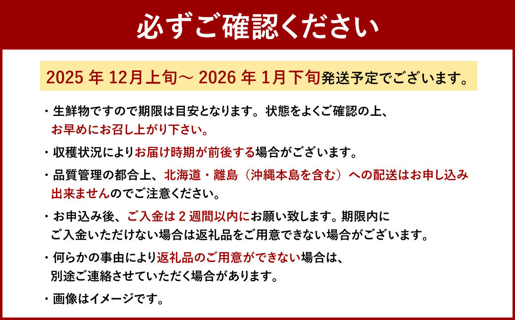 博多あまおう2パック（冬）