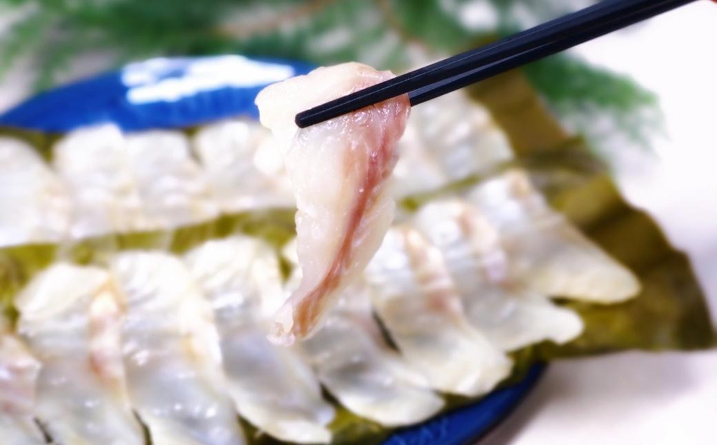 長崎の森で育てた『幻のクエ』 【セット】約200g、昆布〆 刺身用 約200g 各2～3人前×2セット ／ 海鮮 魚介 刺身