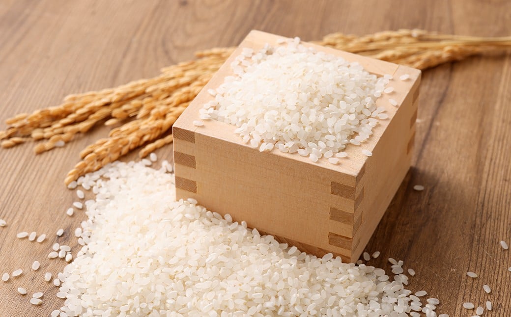 【れんげ米】【令和7年産】 元気つくし（精米） 10kg（5kg×2袋） お米 白米 【2025年9月下旬-12月下旬迄順次発送予定】