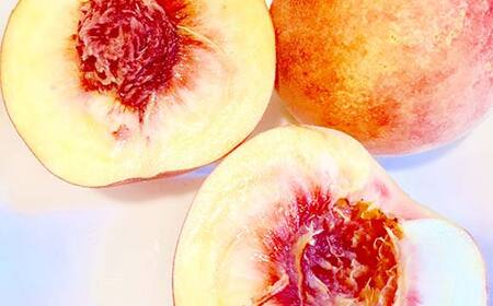 ≪2024年産 先行受付≫ 山形県産 白桃 秀品 約5kg（12玉～20玉） 品種おまかせ 軟らかくなる桃 あかつき 川中島白桃 伊達白桃 他 FSY-1189