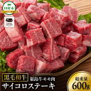 【ふるさと納税】黒毛和牛 福島牛 モモ肉 サイコロステーキ 600g 1パック 赤身 霜降り 牛肉 牛肉 焼肉 ステーキ バーベキュー BBQ ギフト 贈答 プレゼント 福島県 田村市 川合精肉店