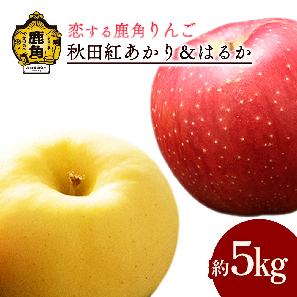 【ふるさと納税】《 先行予約 》 鹿角 りんご 秋田紅あかり & はるか 5kg 詰め合わせ かづのりんご 食感 果汁 さっぱり リンゴ 完熟 旬 お歳暮 贈り物 お見舞い グルメ ギフト 故郷 秋田 あきた 鹿角市 鹿角 送料無料 【恋する鹿角カンパニー】