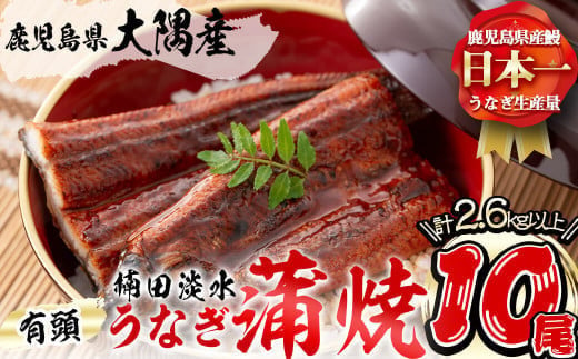 
楠田の極うなぎ 蒲焼き 260g以上×10尾(計2.6kg以上) うなぎ 鰻 ウナギ 国産 鹿児島県産 九州産 蒲焼き 冷凍 うな重 ひつまぶし wa24-003
