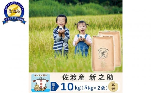 【新米予約 6か月定期便】佐渡島産 新之助 玄米10Kg 令和7年