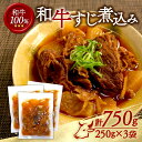 【ふるさと納税】 和牛すじ煮込み 750g（250g×3袋）和牛 すじ煮込み 冷凍 小分け 肉 牛 牛肉 ごはんのお供 個包装 ふるさと納税 おかず 煮物 牛筋 牛すじ 木津川市 京都