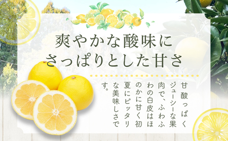 ≪先行予約≫都農町産「訳あり日向夏(約5kg)」 フルーツ 果物 柑橘 国産_T008-004