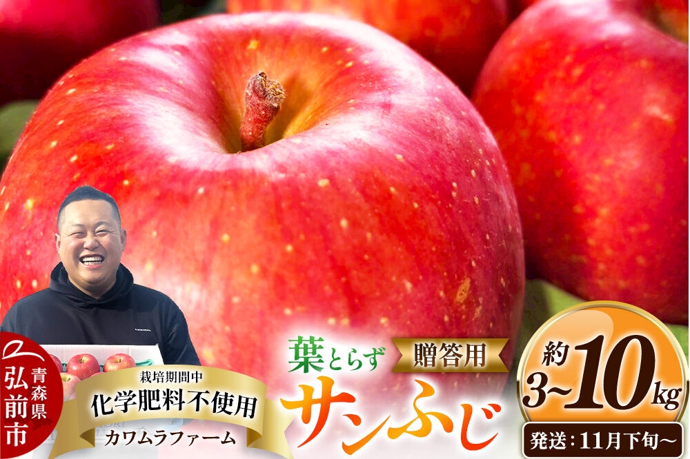 
                  りんご【26年11月下旬～発送】葉とらず サンふじ【選べる約 3kg／6kg／10kg】【贈答用】先行受付 カワムラファーム 青森県 弘前市 果物 フルーツ 林檎 リンゴ くだもの ギフト 贈り物 [先行予約 産地直送 アップル おいしい 果実 美味 甘い 赤色]
                