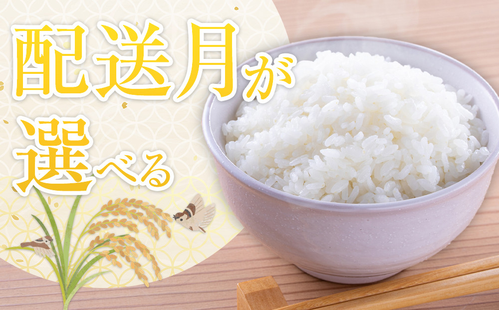 令和7年産 旭川産ななつぼし10kg (5kg×2袋) (精白米)【 特A  北海道産 白米 精米 ご飯 ごはん 米 10kg お米 ななつぼし 旭川産  旭川市ふるさと納税 北海道ふるさと納税 特A