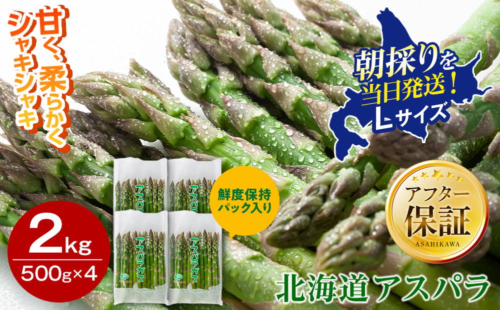 【先行予約】朝採りアスパラ Lサイズ 2kg（500g×4）鮮度保持パック入り 旭川近郊産 露地物(2024年5月中旬発送開始予定)_01591