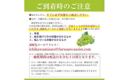 【先行予約】秀品シャインマスカット　2房（約1.1kg）【2025年8月下旬から発送】Inakakara厳選！市川三郷町産[5839-1978]