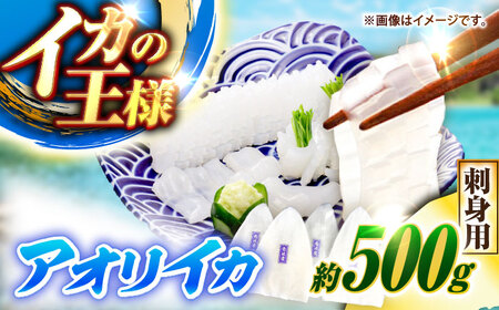 アオリイカ 刺身用 500g [JCC023] イカ刺し