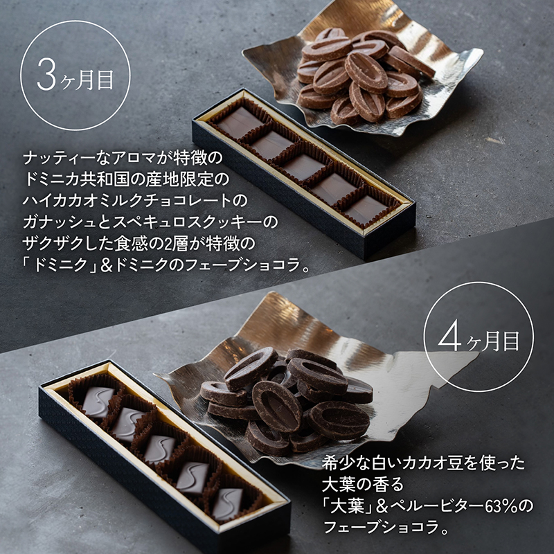【定期便/6回】ボンボンショコラ5個&フェーブ80g（コイン状